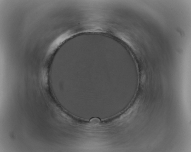X0000113371455200910131311