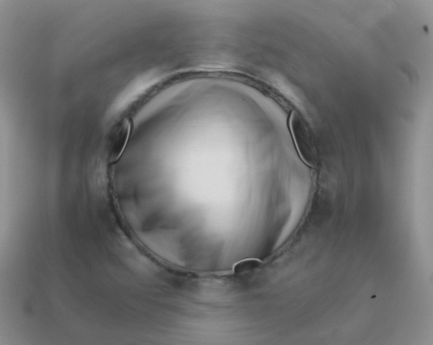 X0000113371456200910131311
