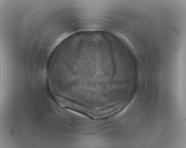 X0000113371457200910131311