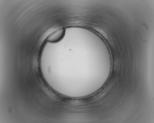 X0000113371458200910131311
