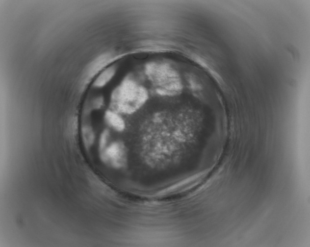 X0000113371459200910131311