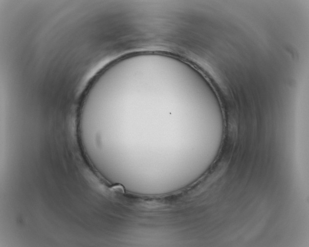 X0000113371460200910131311