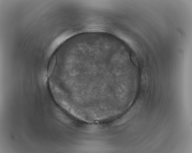 X0000113371461200910131311
