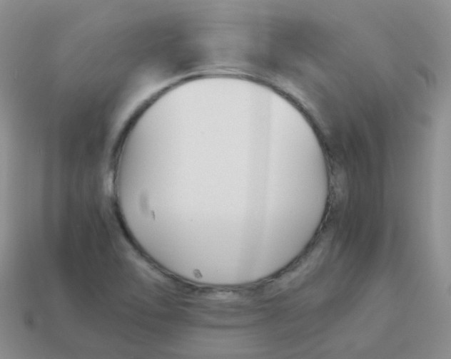 X0000113371462200910131311