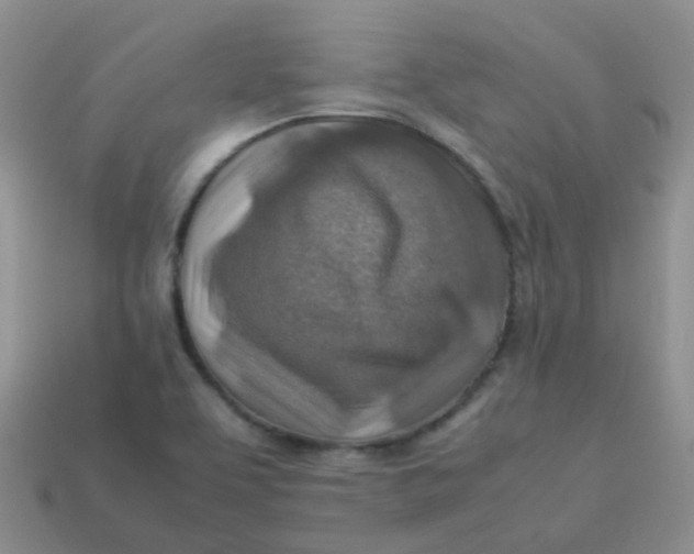 X0000113371463200910131311
