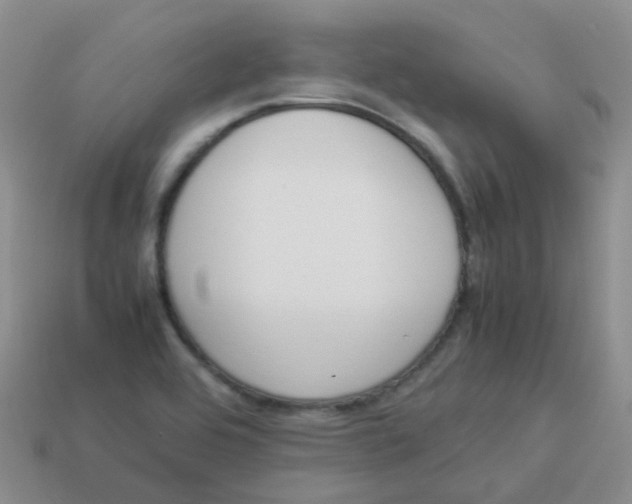 X0000113371464200910131311