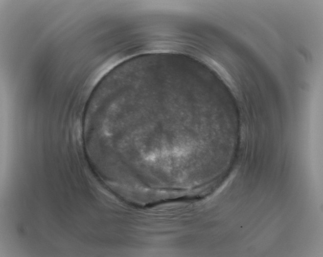 X0000113371465200910131311
