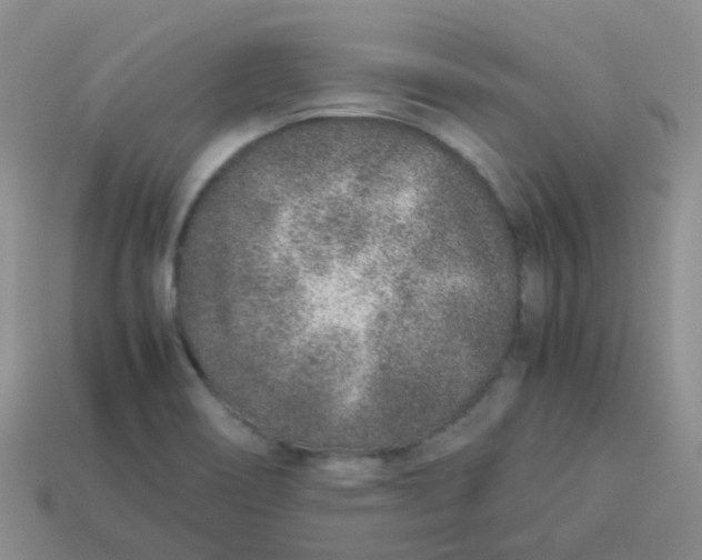 X0000113371466200910131311