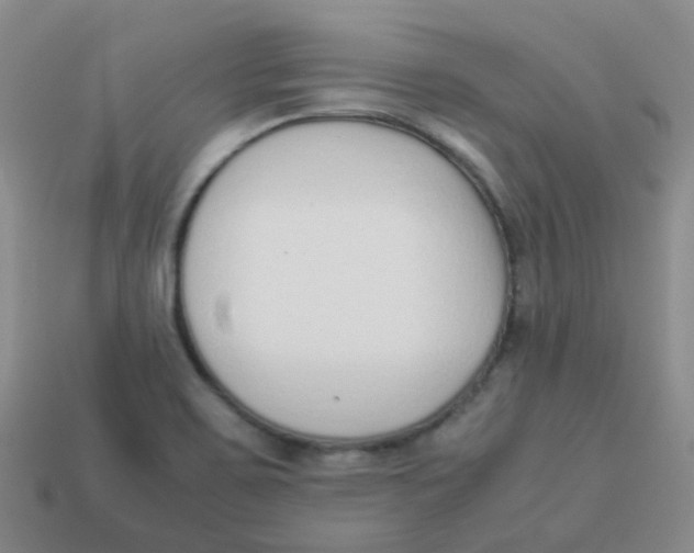 X0000113371467200910131311