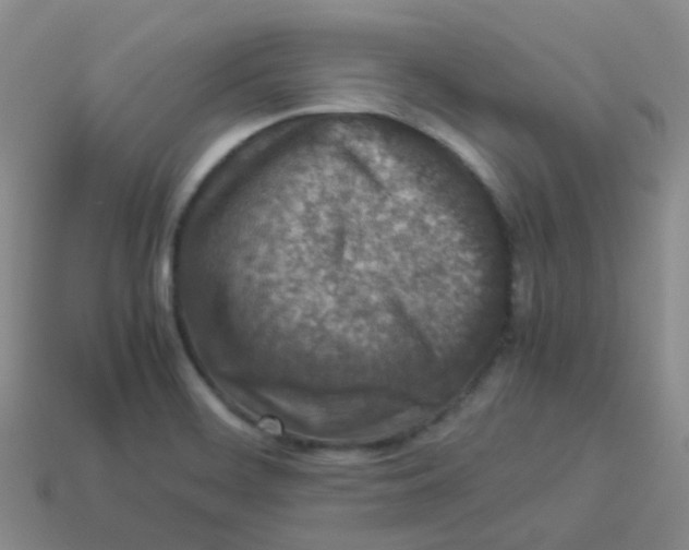 X0000113371468200910131311