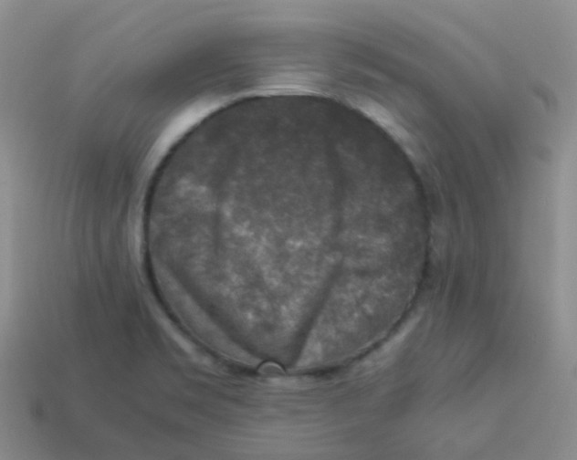 X0000113371469200910131311