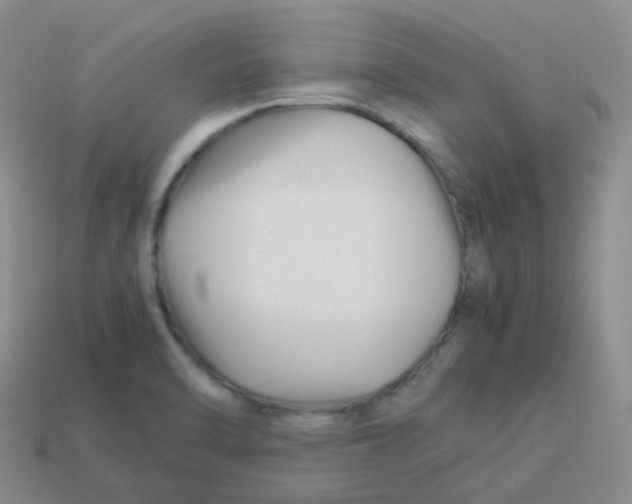 X0000113371470200910131311