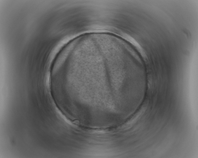 X0000113371472200910131311