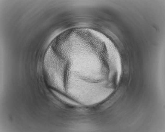 X0000113371473200910131311
