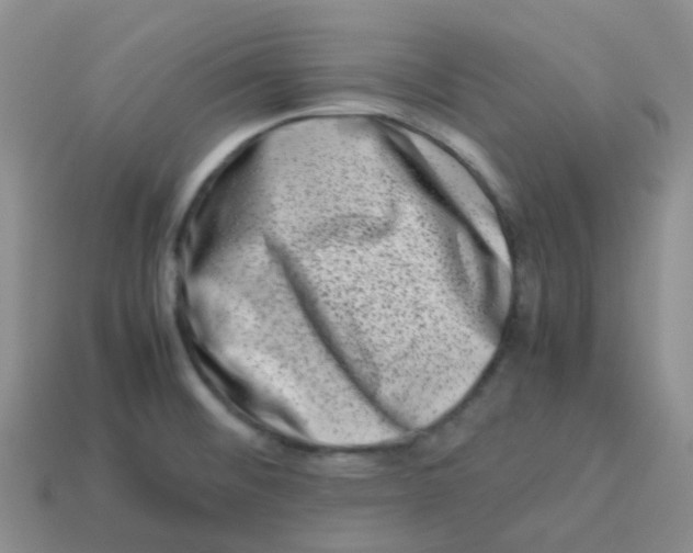 X0000113371476200910131311
