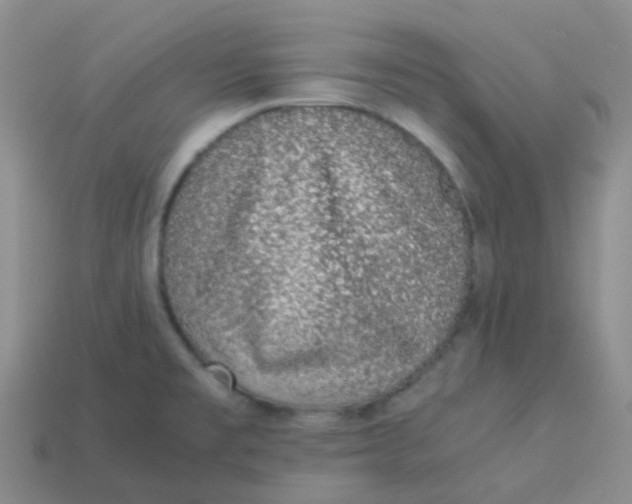 X0000113371477200910131311