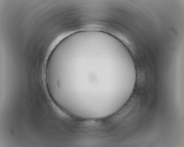 X0000113371478200910131311