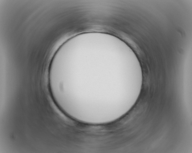 X0000113371479200910131311