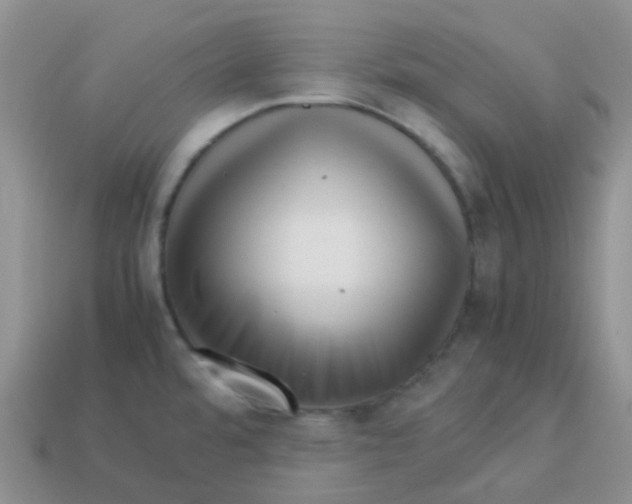 X0000113371480200910131311