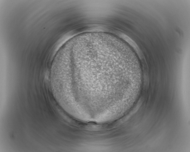 X0000113371481200910131311