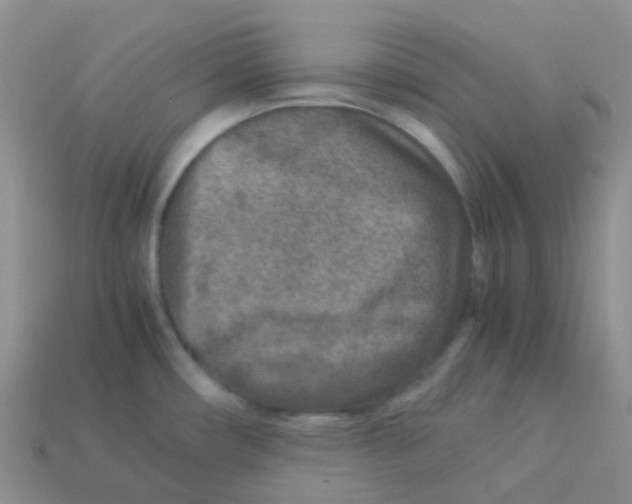 X0000113371482200910131311