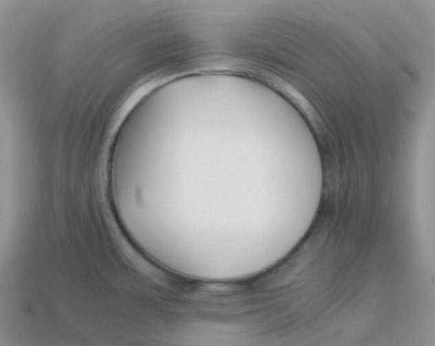 X0000113371483200910131311
