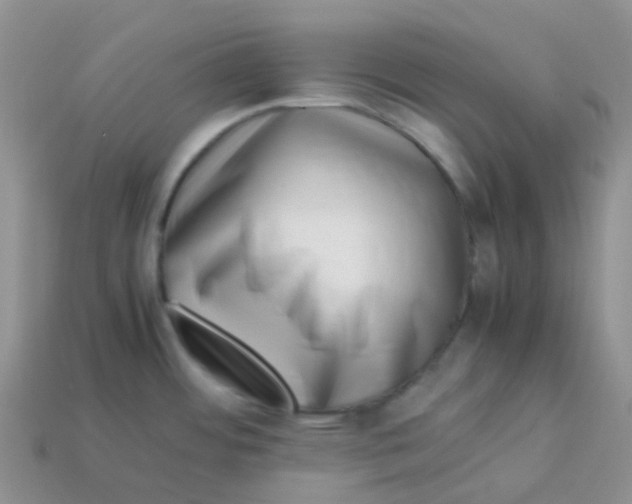 X0000113371484200910131311