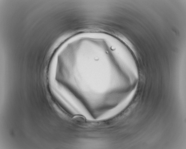 X0000113371485200910131311