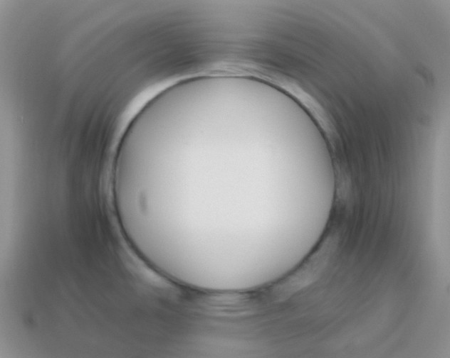 X0000113371486200910131311