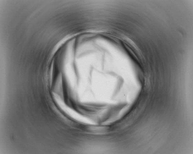 X0000113371487200910131311