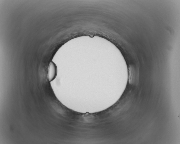 X0000113371491200910131310