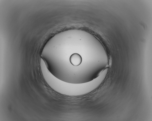 X0000113371492200910131310