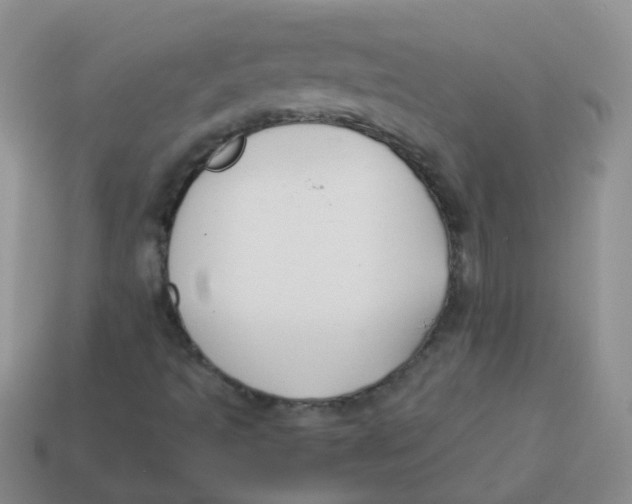 X0000113371493200910131310