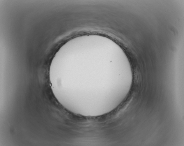X0000113371494200910131310