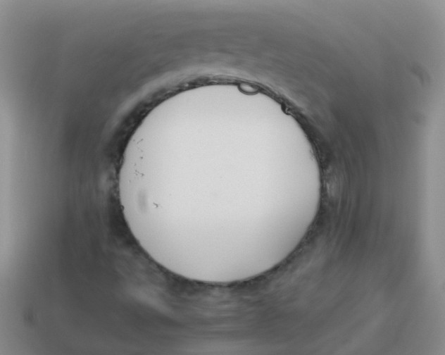 X0000113371495200910131310