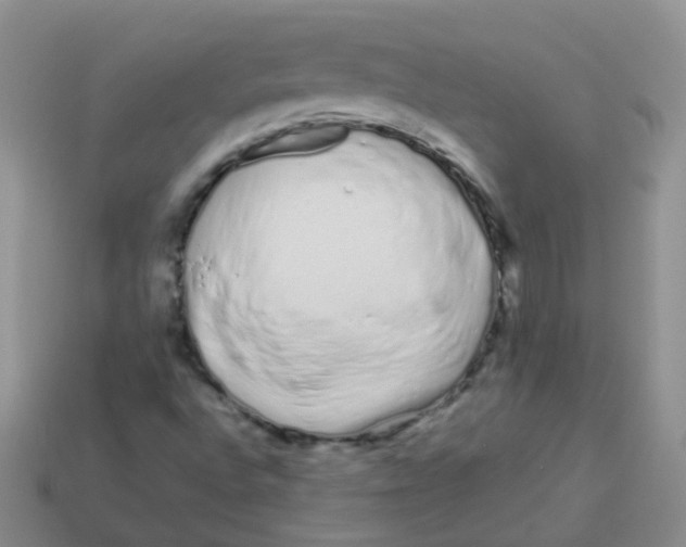 X0000113371496200910131310