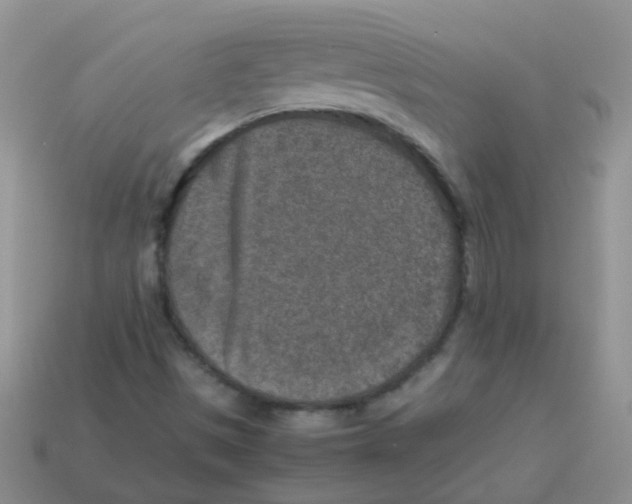 X0000113371497200910131310