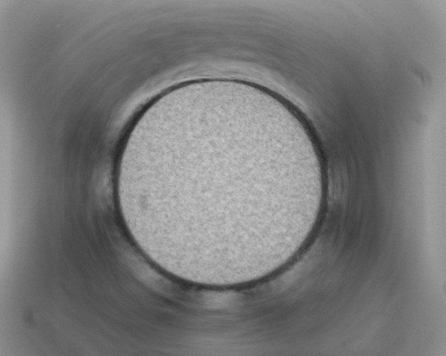X0000113371498200910131310