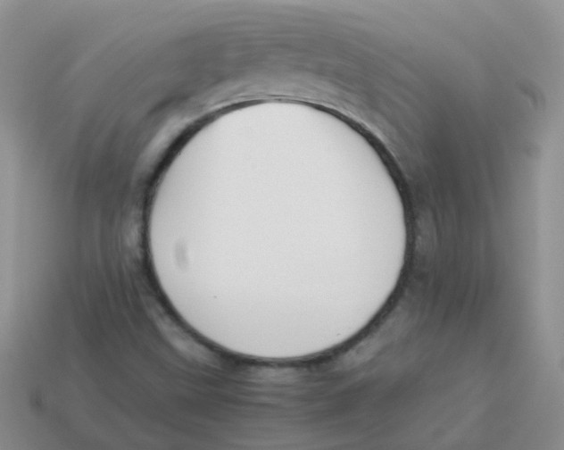 X0000113371499200910131310