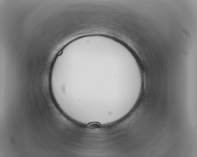 X0000113371500200910131310