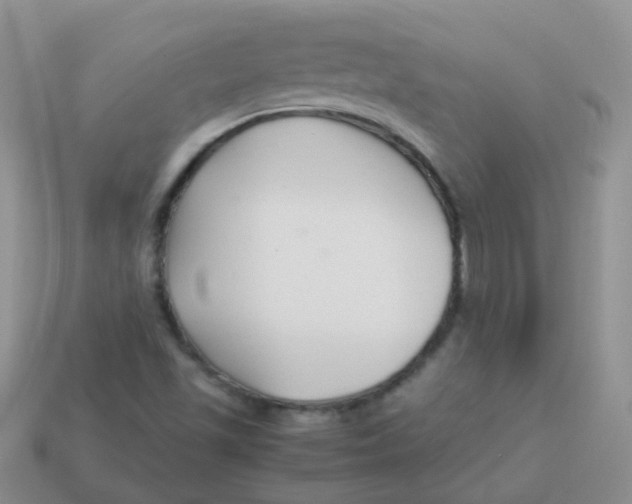 X0000113371501200910131310