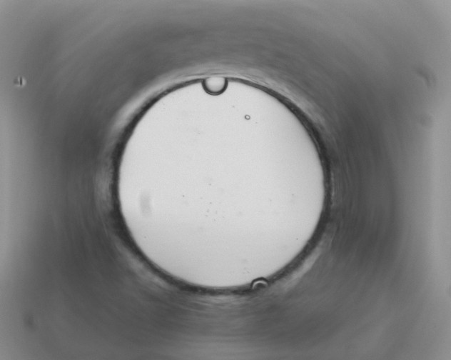 X0000113371502200910131310