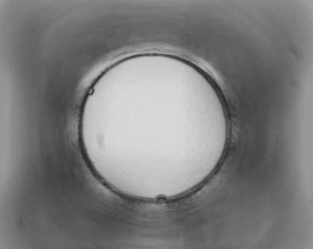X0000113371504200910131310