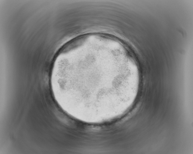 X0000113371505200910131310