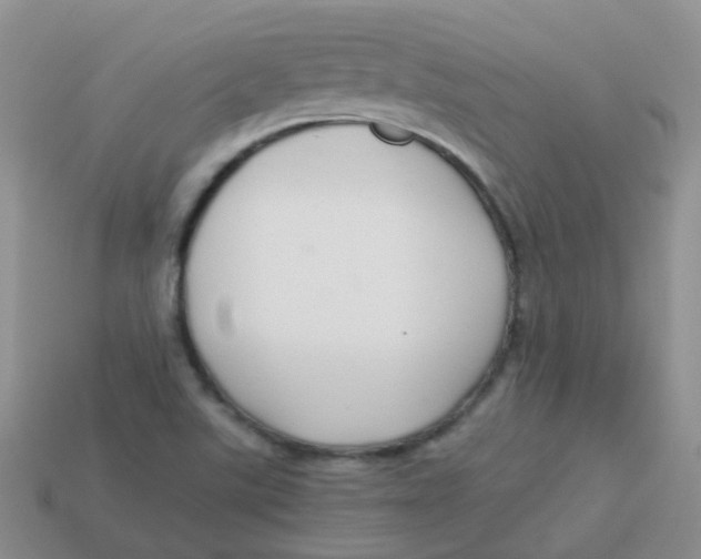 X0000113371507200910131310