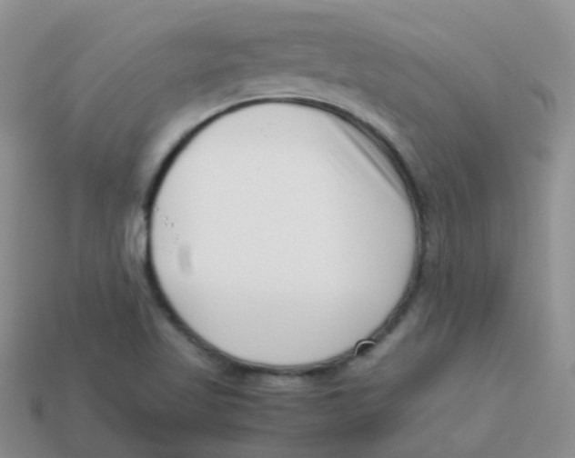 X0000113371509200910131310