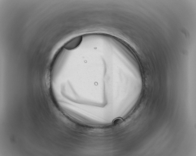 X0000113371510200910131310