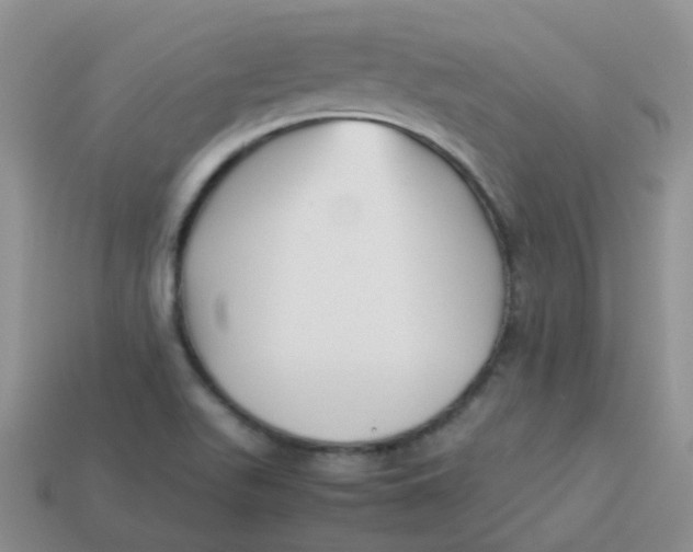X0000113371511200910131310