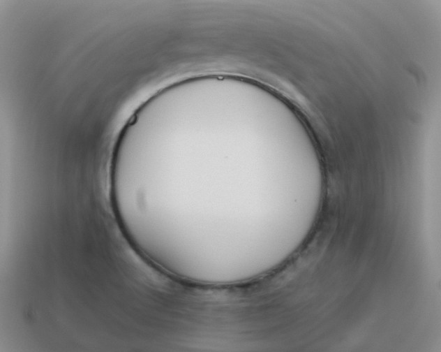 X0000113371512200910131310