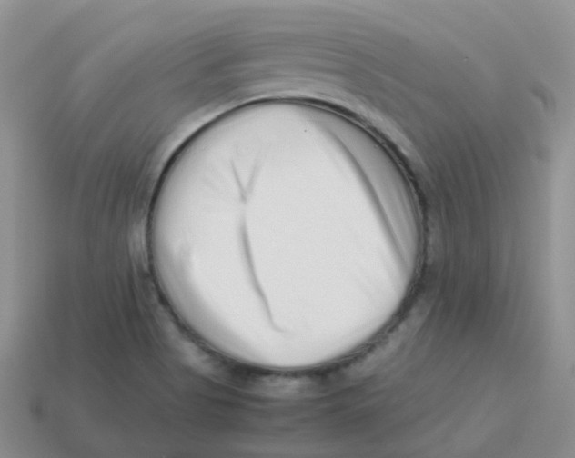 X0000113371513200910131310